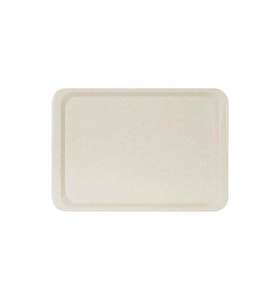 ErkoPlas ERKO0107 Polyester Servis Tepsisi-37X53 cm-Anti bakteriyel-bej