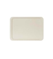 ErkoPlas ERKO0107 Polyester Servis Tepsisi-37X53 cm-Anti bakteriyel-bej