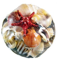 Fruit Of The Sea 12 İnç