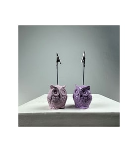 Baykuş Not Tutucu 2'li Set (lila - Pembe)