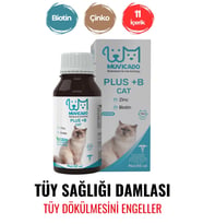 Kediler İçin Plus B Damla 50ml (KEDİLER İÇİN TÜY DÖKÜLMESİ ENGELLEYİCİ BİOTİN TÜY SAĞLIĞI DAMLASI)