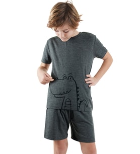 Dinozor Erkek Çocuk Gri Alt Üst Pijama Takım (Antrasit)