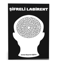Şifreli Labirent Bulmaca Kitabı