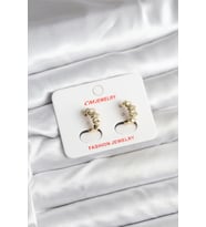 14K Gold Renk Kaplama CM Kadın Küpe - TJ-BKP11403