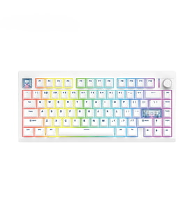 FANTECH MK921 MAXFIT8 White White Switch Hotswap RGB Kablosuz İngilizce Mekanik Gaming Klavye