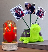 Sizlere Özel Hediye Seti 3 Fotoğraflı Sevimli Yeşil Kaplumbağa ve Led Işıklı Fanus (Model 1)
