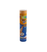 Bic Evolution Kuru Boya Kalemi 12+1 Metal Tüp 958191