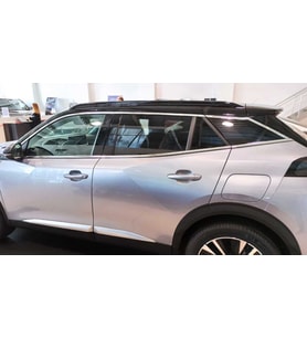 Peugeot 2008 Cam Nıkelajı - Tam Tur