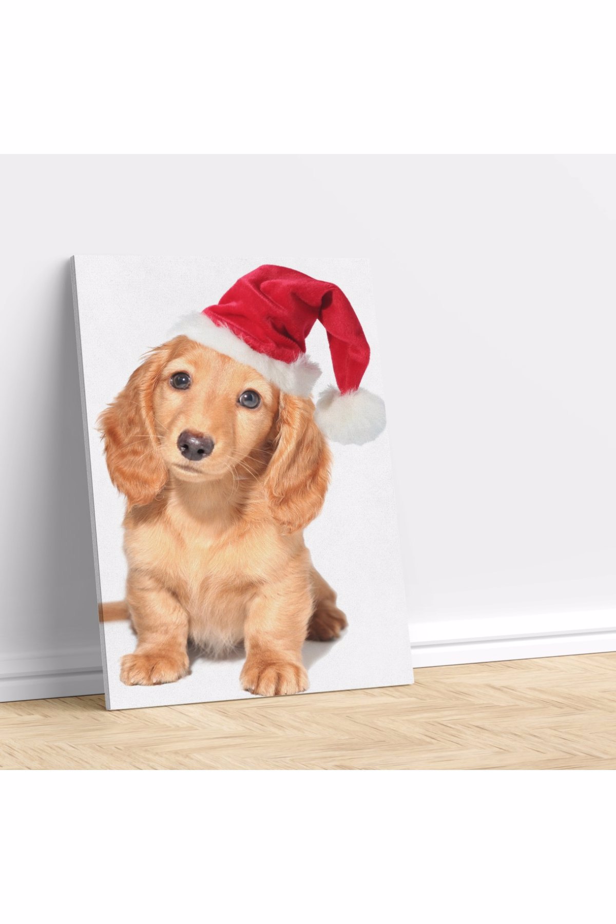 Noel Köpek Kanvas Tablo