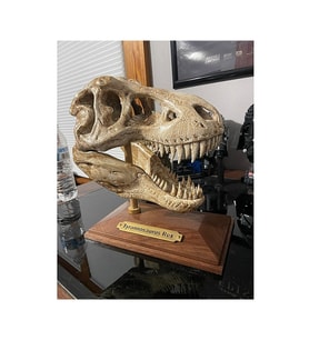 T-rex Kafatası Figür 20 cm