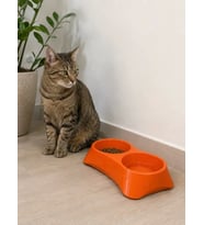 İkili Model Beton Kedi Köpek Mama ve Su Kabı (24cm × 12cm × 5cm) - Turuncu