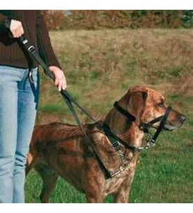 Trixie Köpek Eğitim Tasması Large-Beden 31cm