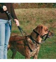 Trixie Köpek Eğitim Tasması Large-Beden 31cm
