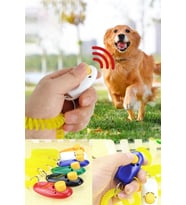 Köpek Eğitimi Için Clicker Köpeğinizi Kolayca Eğitin