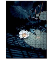 Cakapuzzle Gölde Dev Yapraklar ve Nilüfer Çiçeği Puzzle Yapboz MDF (Ahşap) (120 Parça)