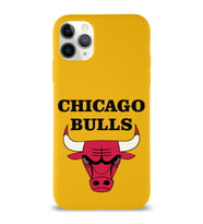 Apple iPhone 11 Pro Max  Lansman Kılıf Chicago Bulls Tasarımlı Altı Kapalı İçi Kadife Kaplı  Kapak (Şeffaf)