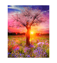 Ağaç Kadın ve Günbatımı Çerçeveli 90x110 Sayılarla Boyama Hobi Seti
