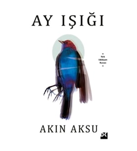 Ay Işığı
