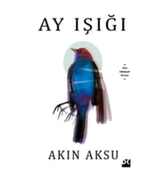 Ay Işığı