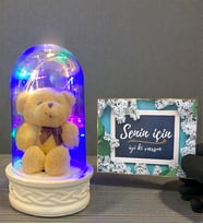 Senin İçin İyi Ki Varsın Hediye Kartı ve Renkli Led Işıklı Tasarım Fanus (Model 2)