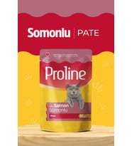 Pouch Somonlu Yaş Kedi Mama 22 x 85 Gr