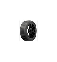 225/60R18 100V DST2 DELINTE (Y26)