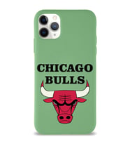 Apple iPhone 11 Pro Max  Lansman Kılıf Chicago Bulls Tasarımlı Altı Kapalı İçi Kadife Kaplı  Kapak (Şeffaf)