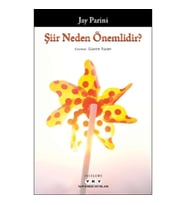 Şiir Neden Önemlidir?