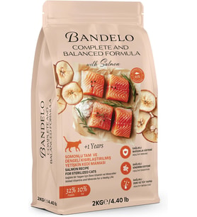 Kısırlaştırılmış Somonlu Yetişkin Kuru Kedi Maması 2 Kg - Vitamin İlaveli Tam ve Dengeli Kilo Kontrolü, Yüksek Hayvansal Protein İçerikli Kuru Mama