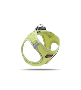 Tailpetz Air Mesh Harness Göğüs Tasması Olive XLarge (Yağ Yeşili)