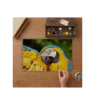 Sarı Mavi Renkli Güzel Papağan Tasarımı 240 parça Ahşap Puzzle Ahşap Kutuda MP05284