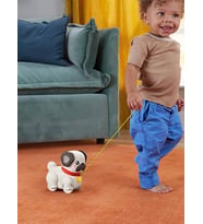 Fisher Price Minik Dostumla Yürüyüş - Standart