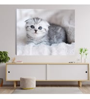 Sevimli Yavru Kedi Dekoratif Kanvas Tablo