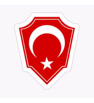 Türk Bayrağı Arma Logo Sticker 16CM 2 Adet