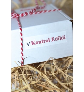 Kontrol Edildi Yapışkanlı Sticker Etiket 100 Adet