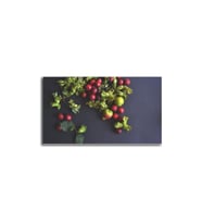 DBSanatevi Meyve Tablo 60 X 80 Cm