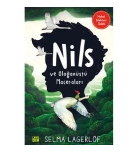 Nils ve Olağanüstü Maceraları