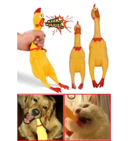 Sesli Horoz Eğlenceli Köpek ve Kediler İçin Sesli Öten Horoz Oyuncak 28 Cm 