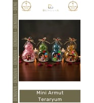 #Hediye Dekoratif Cam Hediyelik Masaüstü Ofis Aksesuarı El Yapımı Şık Modern Mini Armut Teraryum