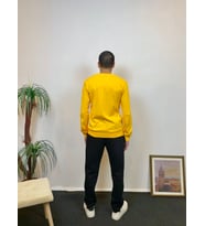 Süperlife Erkek Bisiklet Yaka Slim Fit İnce Sweatshirt SPR 20K17
