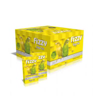 Fizzy Gaga Taşı 1 ADET