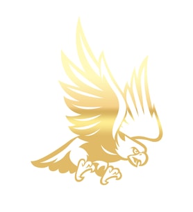 Kartal Sticker17x17 Cm Gold