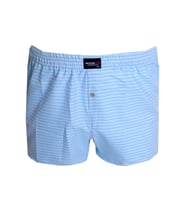 Mode XL Büyük Beden Erkek Boxer Desenli Poplin 6348 Buz Mavi