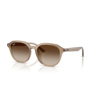 RB 4459D 616613 54 Ray-Ban Güneş Gözlüğü