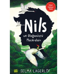 Nils ve Olağanüstü Maceraları
