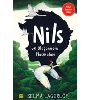 Nils ve Olağanüstü Maceraları