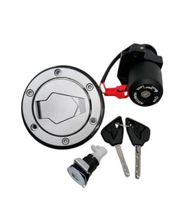 TVS Raider 125 Kontak Seti N6150460