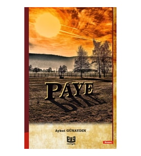 Paye