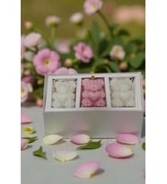 Love Bears Candle Set – 3’lü Ayıcık Mum (Pudra-Ekru)
