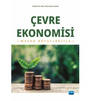 ÇEVRE EKONOMİSİ - Makro Boyutlarıyla
